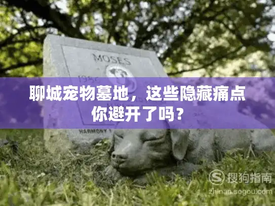 聊城宠物墓地，这些隐藏痛点你避开了吗？
