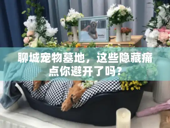 聊城宠物墓地，这些隐藏痛点你避开了吗？