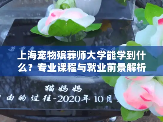上海宠物殡葬师大学能学到什么？专业课程与就业前景解析