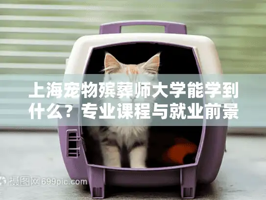 上海宠物殡葬师大学能学到什么？专业课程与就业前景解析