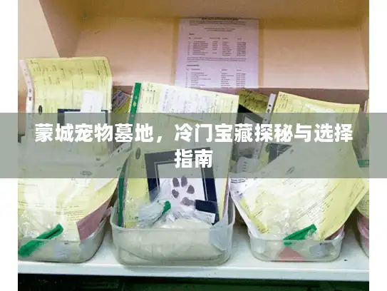 蒙城宠物墓地，冷门宝藏探秘与选择指南
