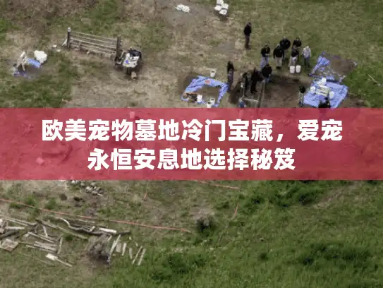 欧美宠物墓地冷门宝藏，爱宠永恒安息地选择秘笈