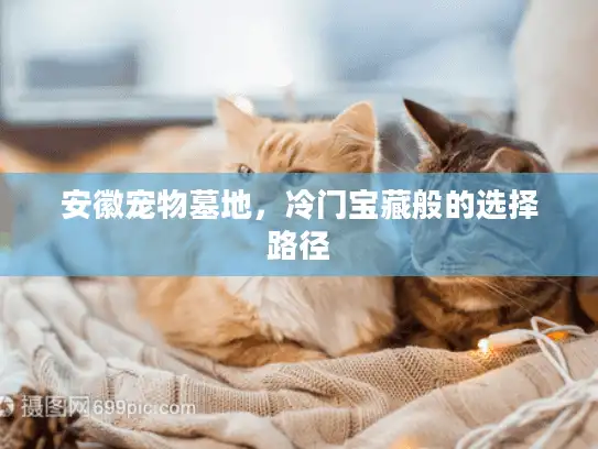安徽宠物墓地，冷门宝藏般的选择路径