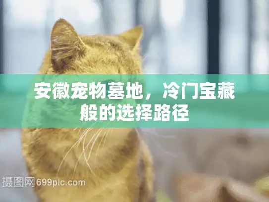 安徽宠物墓地，冷门宝藏般的选择路径