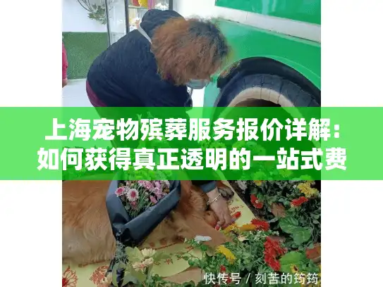 上海宠物殡葬服务报价详解:如何获得真正透明的一站式费用清单?