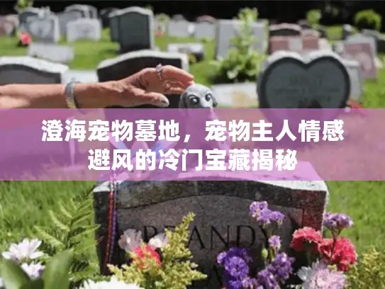 澄海宠物墓地，宠物主人情感避风的冷门宝藏揭秘