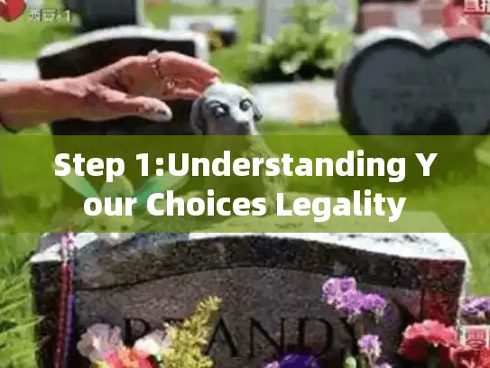 Step 1:Understanding Your Choices Legality
