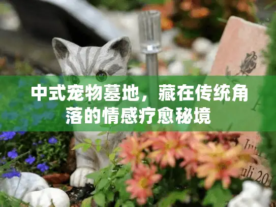 中式宠物墓地，藏在传统角落的情感疗愈秘境