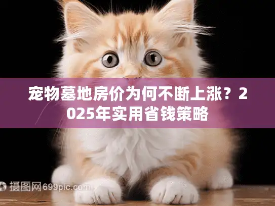 宠物墓地房价为何不断上涨？2025年实用省钱策略