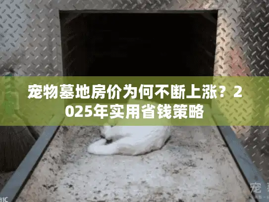 宠物墓地房价为何不断上涨？2025年实用省钱策略