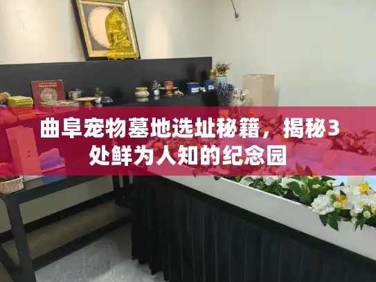 曲阜宠物墓地选址秘籍，揭秘3处鲜为人知的纪念园
