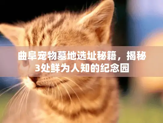 曲阜宠物墓地选址秘籍，揭秘3处鲜为人知的纪念园