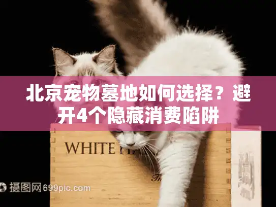 北京宠物墓地如何选择？避开4个隐藏消费陷阱