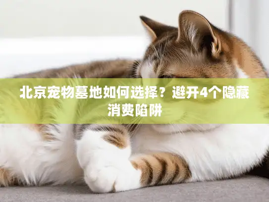 北京宠物墓地如何选择？避开4个隐藏消费陷阱
