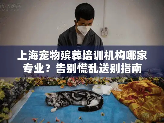 上海宠物殡葬培训机构哪家专业？告别慌乱送别指南