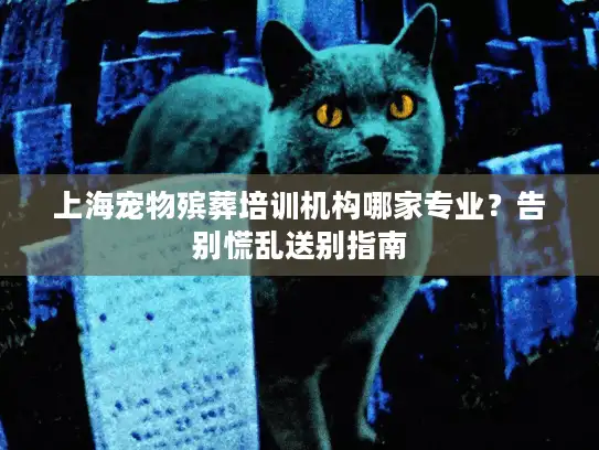 上海宠物殡葬培训机构哪家专业？告别慌乱送别指南