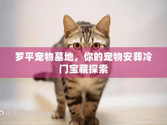 罗平宠物墓地，你的宠物安葬冷门宝藏探索
