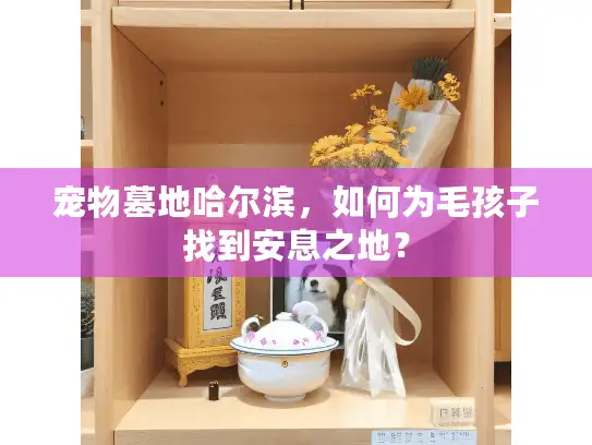 宠物墓地哈尔滨，如何为毛孩子找到安息之地？