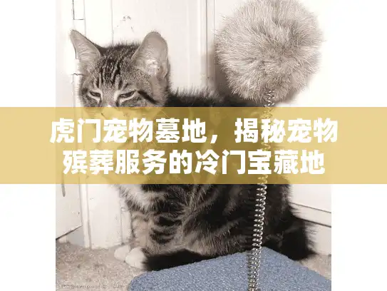 虎门宠物墓地，揭秘宠物殡葬服务的冷门宝藏地