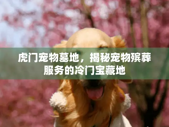 虎门宠物墓地，揭秘宠物殡葬服务的冷门宝藏地