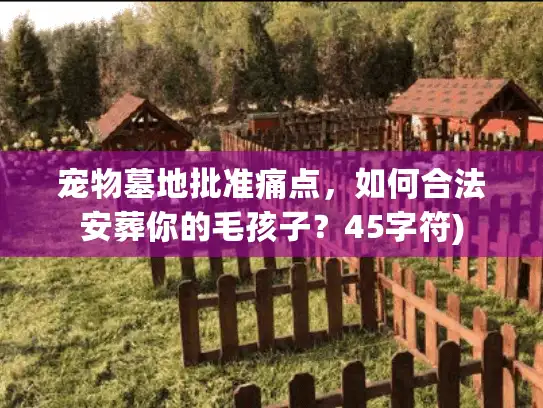宠物墓地批准痛点，如何合法安葬你的毛孩子？45字符)