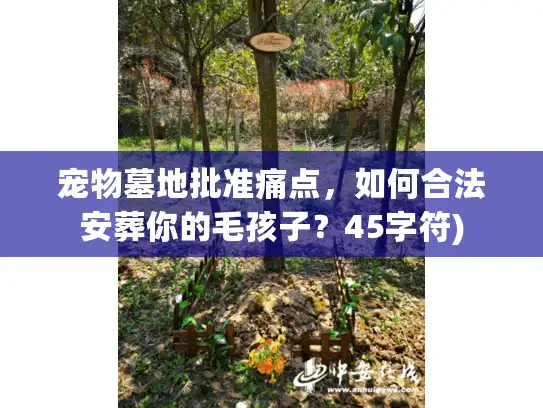 宠物墓地批准痛点，如何合法安葬你的毛孩子？45字符)
