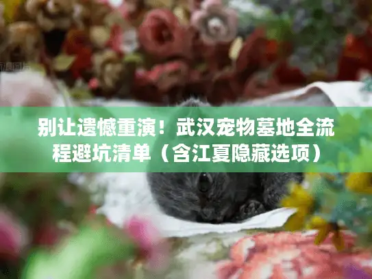 别让遗憾重演！武汉宠物墓地全流程避坑清单（含江夏隐藏选项）