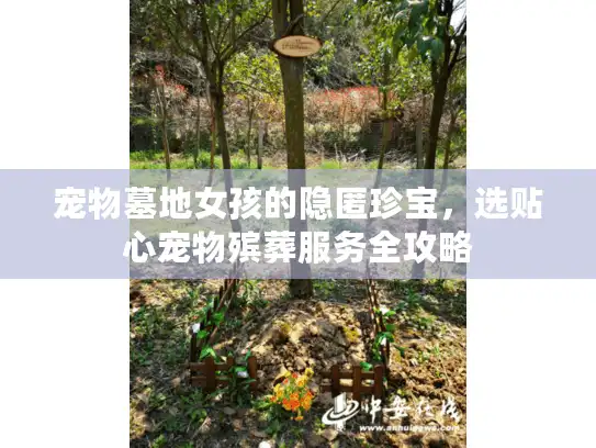 宠物墓地女孩的隐匿珍宝，选贴心宠物殡葬服务全攻略