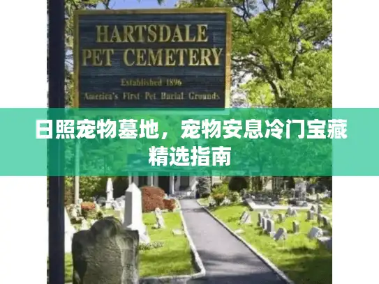 日照宠物墓地，宠物安息冷门宝藏精选指南