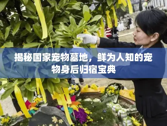 揭秘国家宠物墓地，鲜为人知的宠物身后归宿宝典