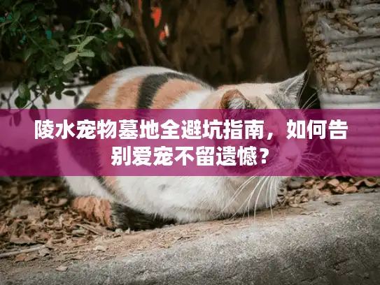 陵水宠物墓地全避坑指南，如何告别爱宠不留遗憾？