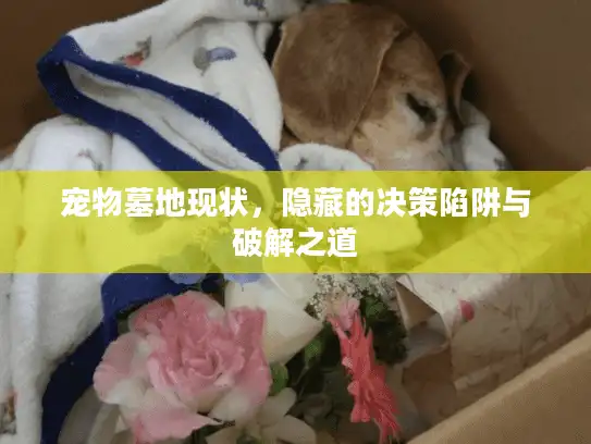 宠物墓地现状，隐藏的决策陷阱与破解之道