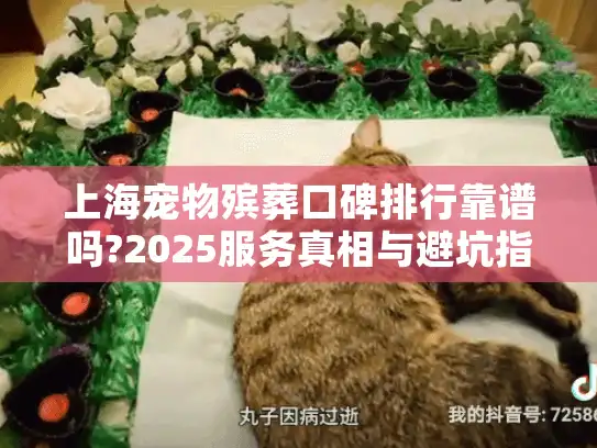 上海宠物殡葬口碑排行靠谱吗?2025服务真相与避坑指南