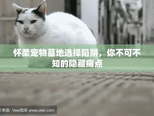怀柔宠物墓地选择陷阱，你不可不知的隐藏痛点