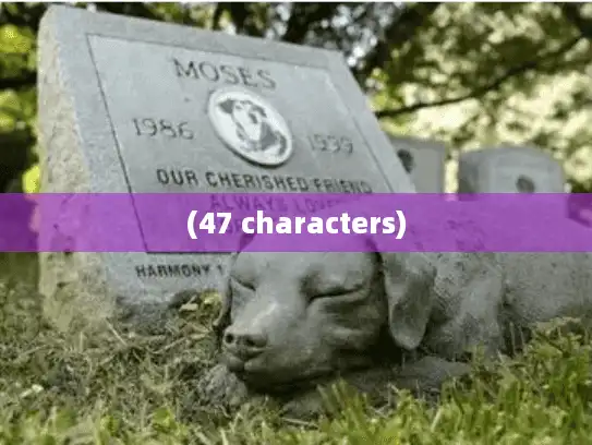 (47 characters)