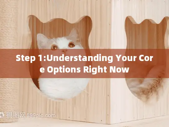 Step 1:Understanding Your Core Options Right Now