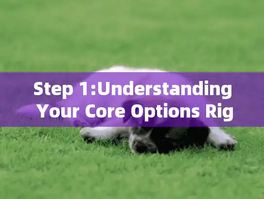 Step 1:Understanding Your Core Options Right Now