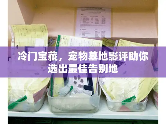 冷门宝藏，宠物墓地影评助你选出最佳告别地