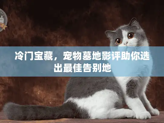 冷门宝藏，宠物墓地影评助你选出最佳告别地