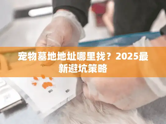 宠物墓地地址哪里找？2025最新避坑策略
