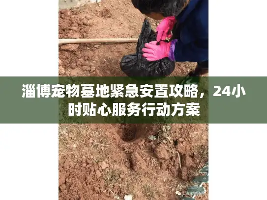淄博宠物墓地紧急安置攻略，24小时贴心服务行动方案