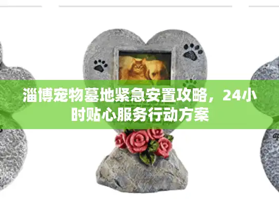淄博宠物墓地紧急安置攻略，24小时贴心服务行动方案