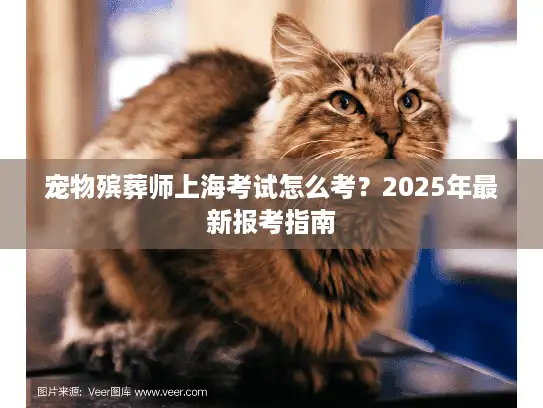 宠物殡葬师上海考试怎么考？2025年最新报考指南