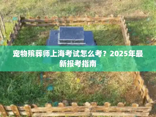 宠物殡葬师上海考试怎么考？2025年最新报考指南