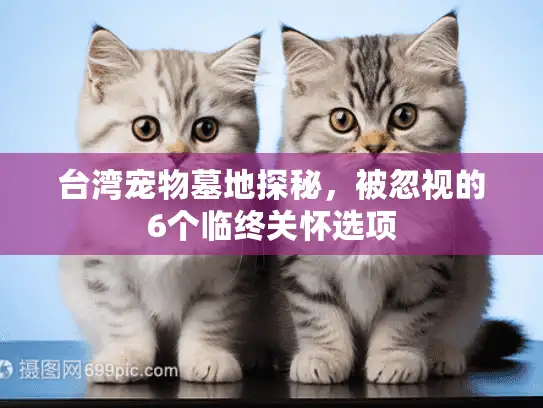 台湾宠物墓地探秘，被忽视的6个临终关怀选项