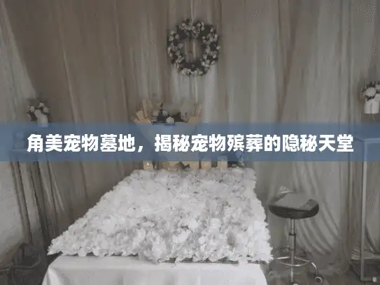角美宠物墓地，揭秘宠物殡葬的隐秘天堂