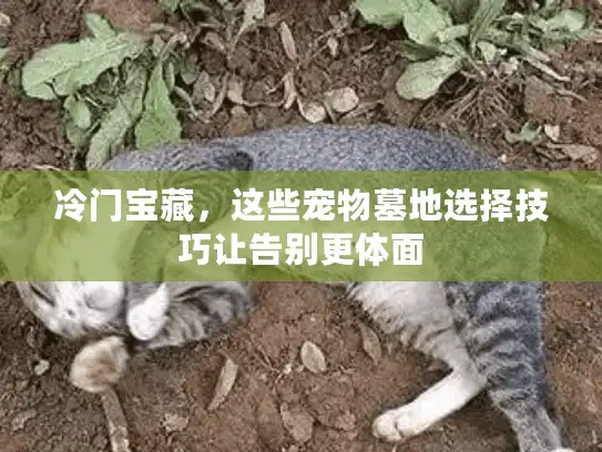 冷门宝藏，这些宠物墓地选择技巧让告别更体面