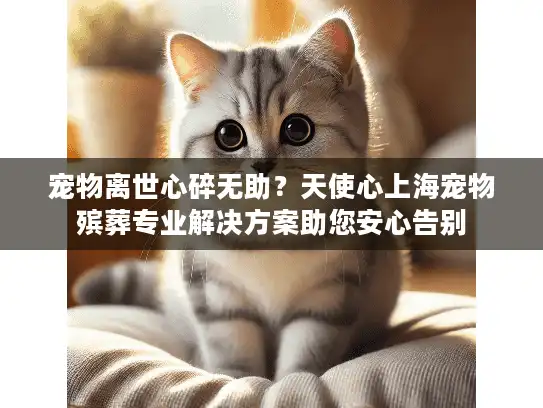 宠物离世心碎无助？天使心上海宠物殡葬专业解决方案助您安心告别