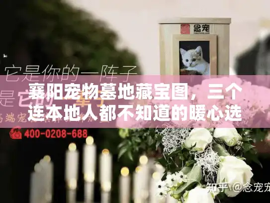 襄阳宠物墓地藏宝图，三个连本地人都不知道的暖心选择