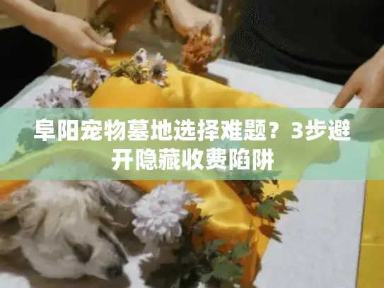 阜阳宠物墓地选择难题？3步避开隐藏收费陷阱
